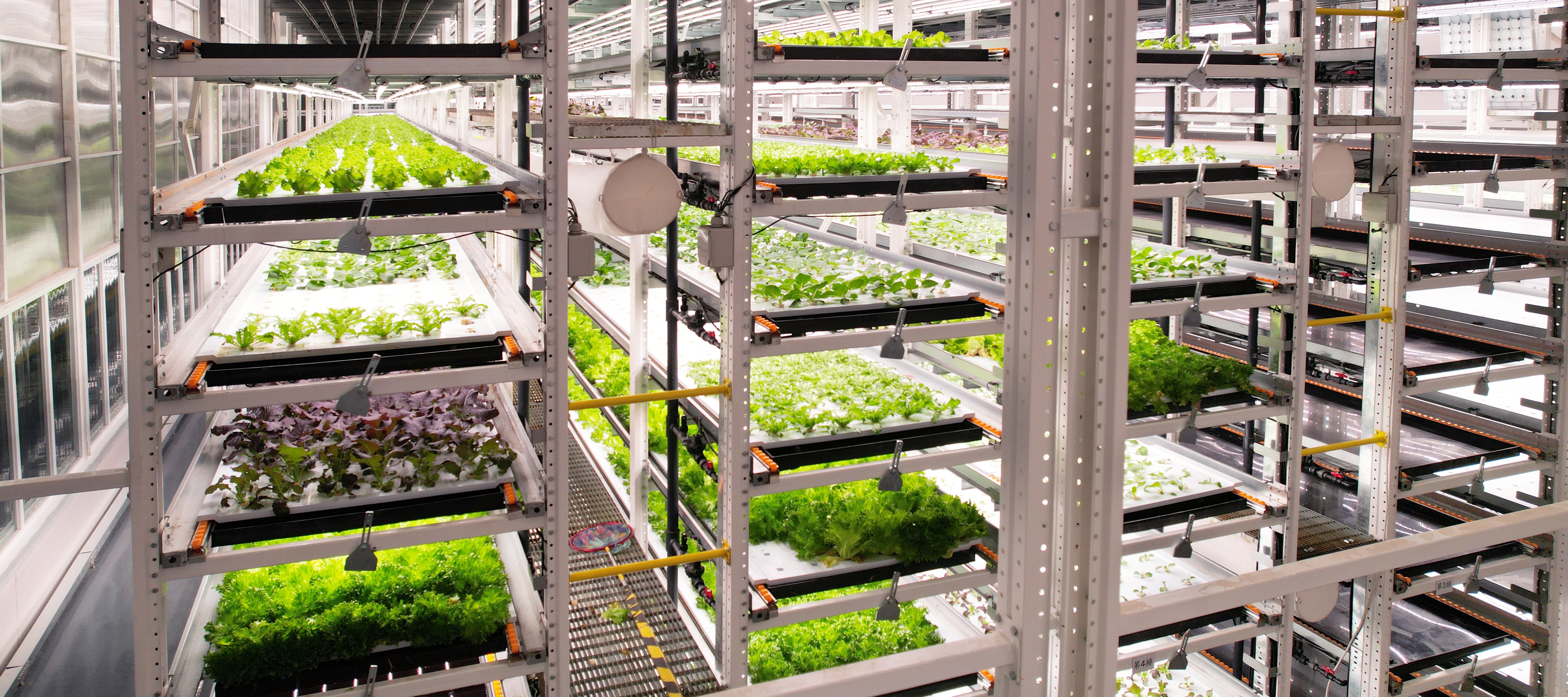 evo��Ѷֲ�﹤���߲�20231206 (2)_��ͼ��.JPG